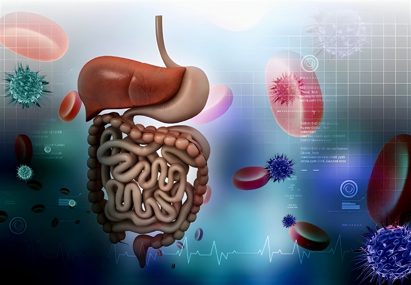 TẠI SAO PHẢI THẢI ĐỘC?