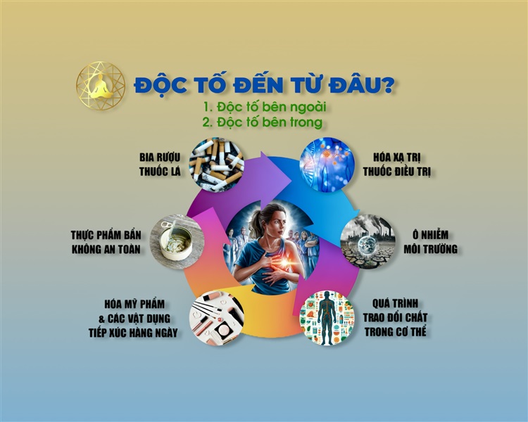 ĐỘC TỐ TRONG CƠ THỂ LÀ NGUỒN GỐC CỦA MỌI BỆNH TẬT
