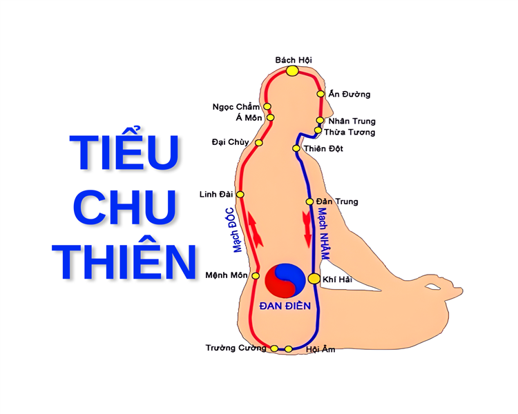 CÁCH VẬN HÀNH VÒNG TIỂU CHU THIÊN ĐÃ THÔNG KINH LẠC